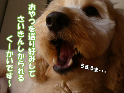 おやつ選り好みなくーかい