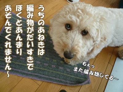 くーかいと毛糸のマット