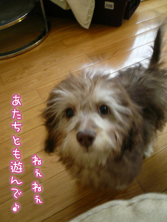 110126 みらく of the day 1