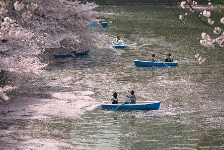 2011.04.11　皇居　北の丸公園　千鳥ヶ淵-3