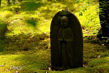 苔のじゅうたんに・・