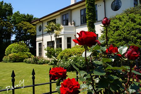 ｒose ｇarden..9