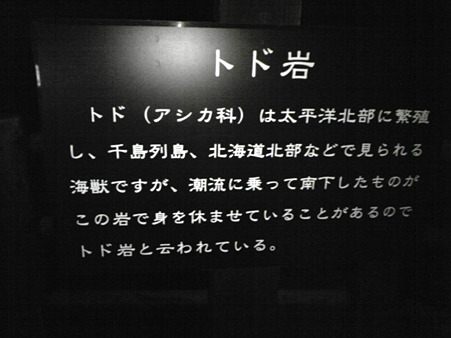 DVC00202