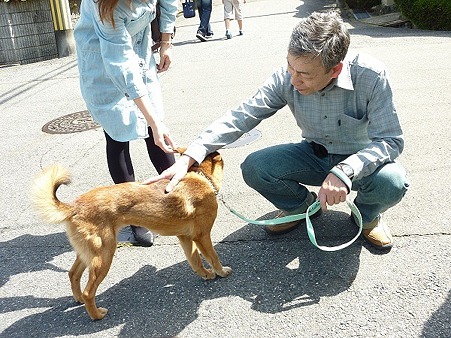 雛お見合い3