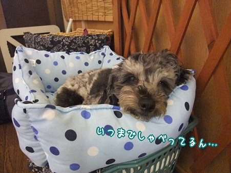 いつまで・・・