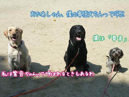 僕らは・・・