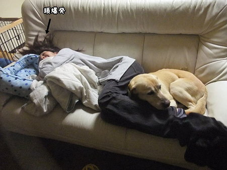 酔っ払い