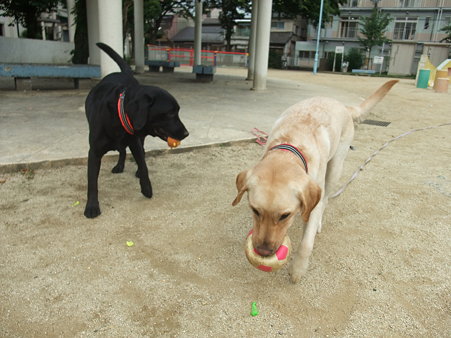 公園で