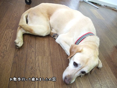 疲れた
