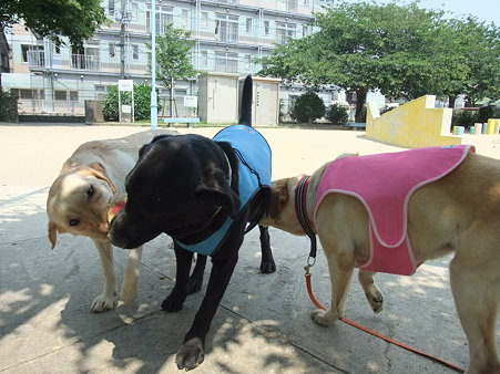 やっぱり