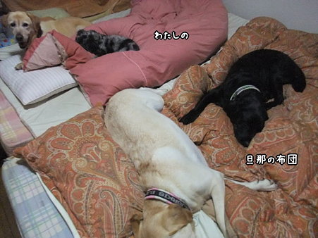 みんな一緒に