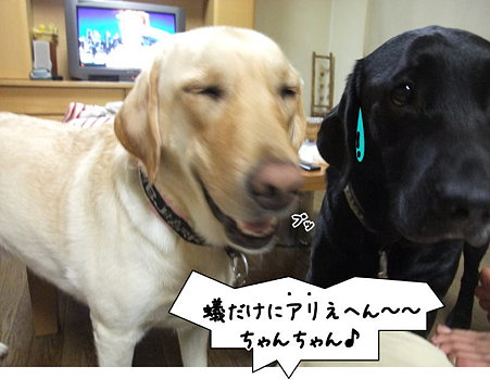 ありえへ~ん!
