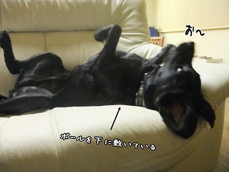 お~