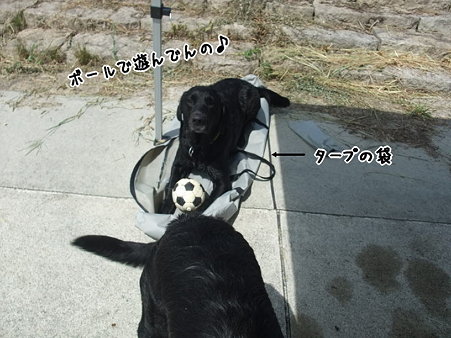 なぜそこに・・・