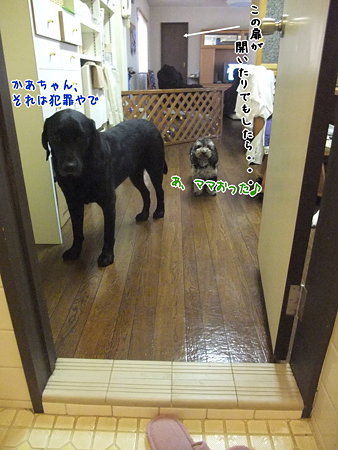 犯罪