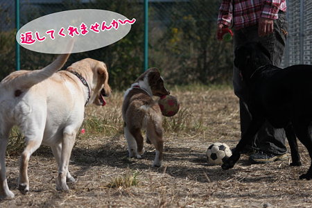 返して・・・