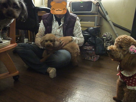 お父さんの膝の上
