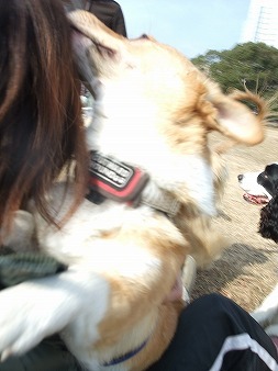 わーい!