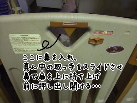 ゲートも開ける