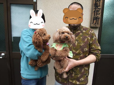 ここの家族