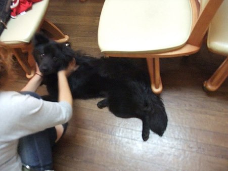 シャイですみません・・・