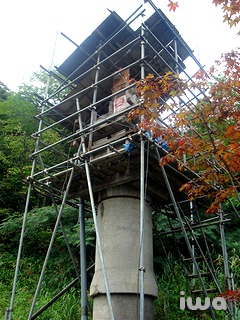 07772.jpg