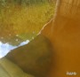 07780.jpg
