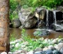 07779.jpg