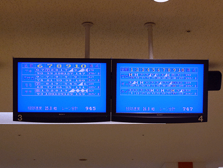 P1000687-800