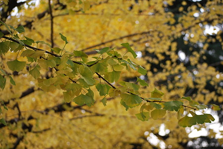 DSC_0197