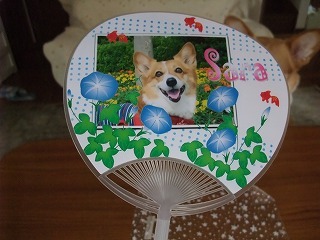2009_0627頂き物0017