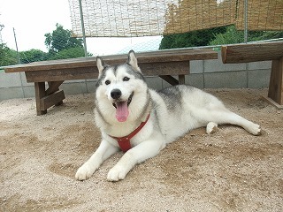 2009_08300006