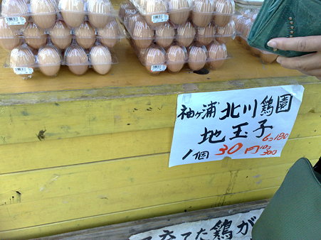 お土産に地玉子