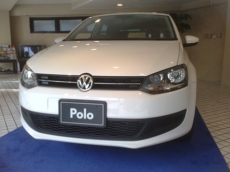 白いＰＯＬＯ