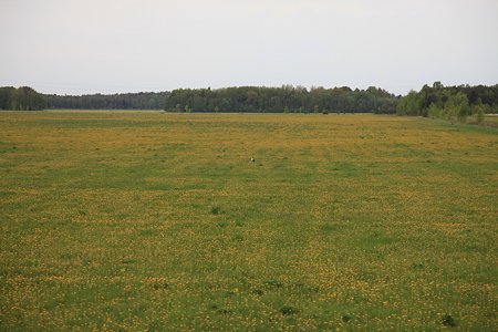 DPP_0103