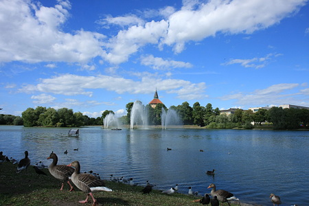 DPP_1570