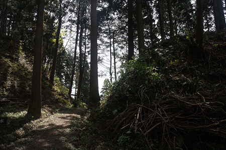 増山城 - 07