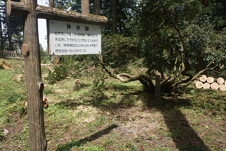 増山城 - 11