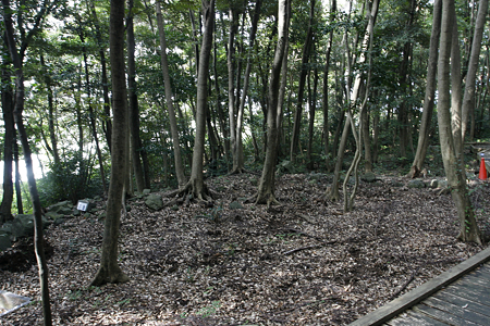 名護屋城・木下延俊陣跡 - 1