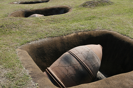 吉野ヶ里遺跡・甕棺墓列 - 2