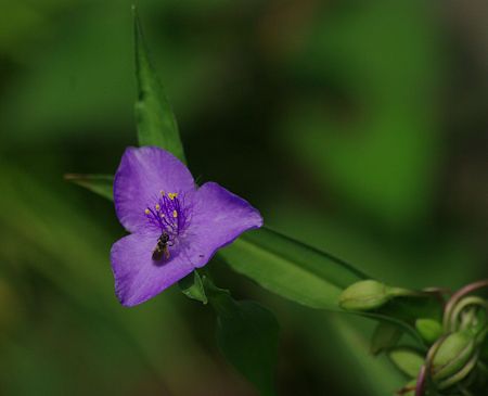 IMGP0218