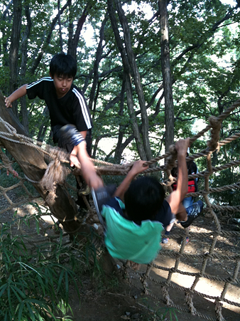 写真 4