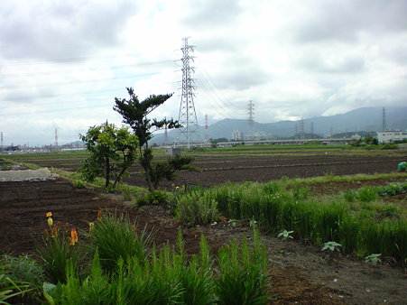 DSC00015