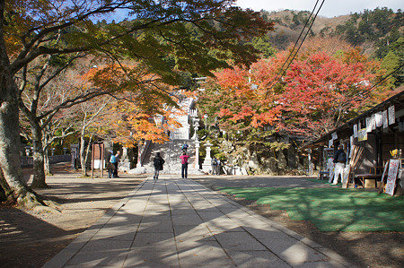 阿夫利神社下社の紅葉