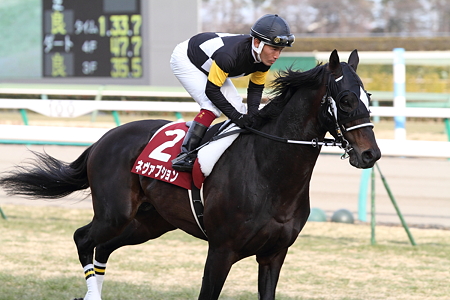 ネヴァブション_2011AJCC