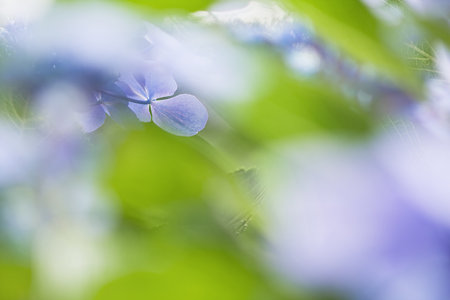 幻想世界