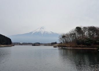 休暇村富士のそば田貫湖1
