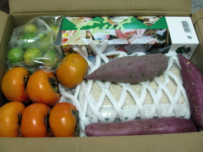 おお!秋の味覚が…