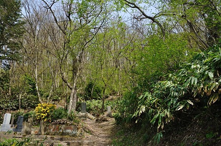 1005051348_DSC_5651