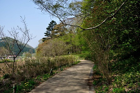 1005061040_DSC_6338